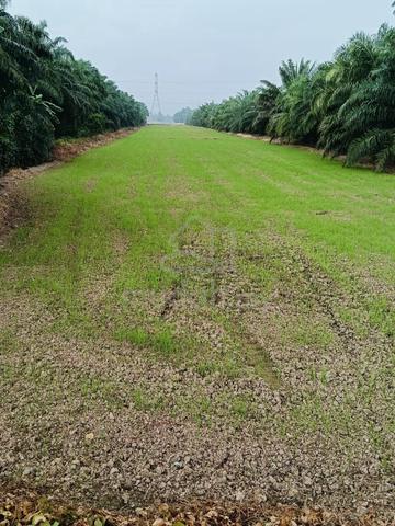Tanah Parit Haji Aman untuk dijual, tepi jalan mini tar 1