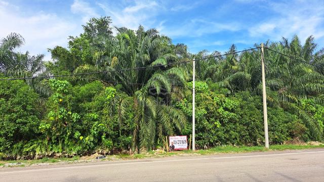 Industrial Zoning Land, Taman Industri Sijangkang Utama Telok Panglima 1