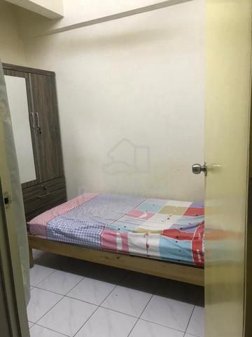 (Male) Single Room Lelaki Brunsfield Seksyen 13 Shah Alam near MSU 3
