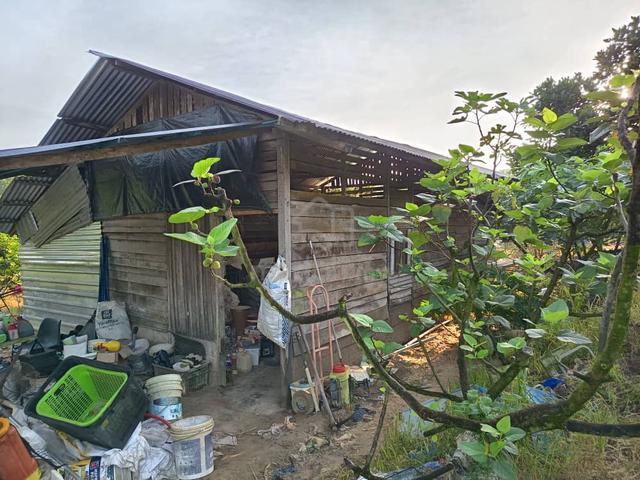 Freehold harvesting agro-tourism orchard farm 2