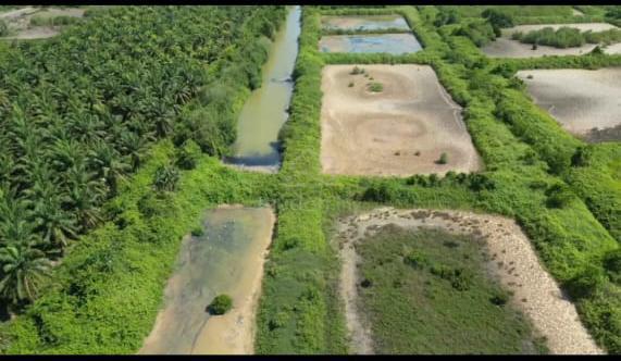 15.97 Acres Land for Sale – Wakuba Tawau | Aquaculture Potential 1