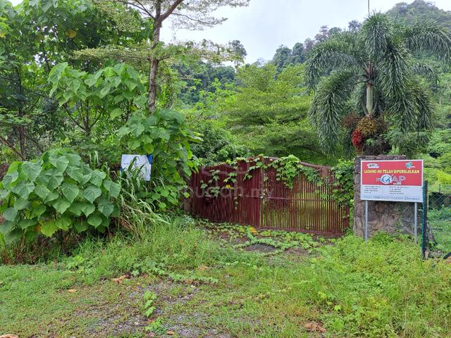Tanah Dusun Batu Pahat,Perlis 1