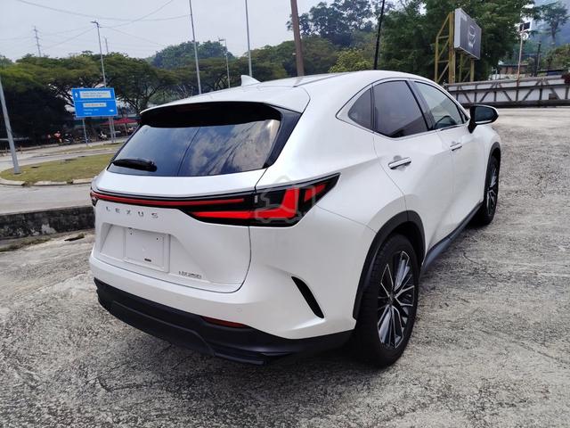 2023 Lexus Nx250 2.5 Version L S/R 8,000km Grade5A - 4