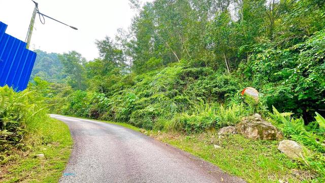 FREEHOLD Tanah Pertanian  Kemensah Hulu Kelang Ampang 1