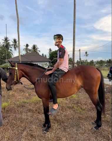 Carousel Image