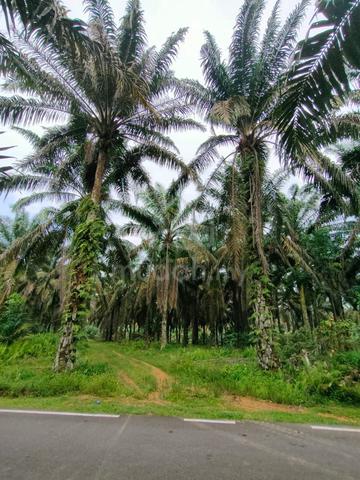 Johor Kulai Agricultural Leasehold Land For Sale 1