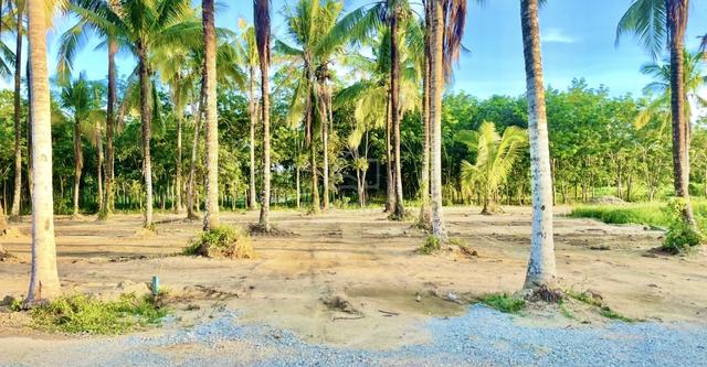 Tanah Lot Banglo Ketereh tinggal 1 shaja lagi 1