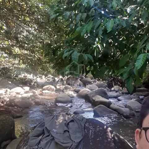 Tanah NT ULU LINGAN 1
