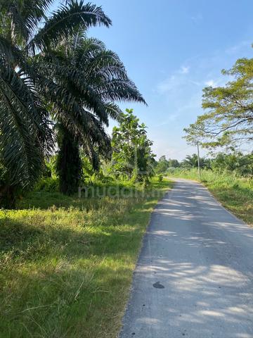 tanah 2 ekar di tok muda kapar klang 1