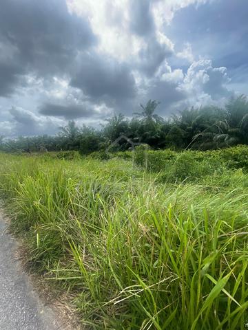 Tanah Pertanian Kelapa Sawit Parit Puteri Menangis Pontian Good Invest 2