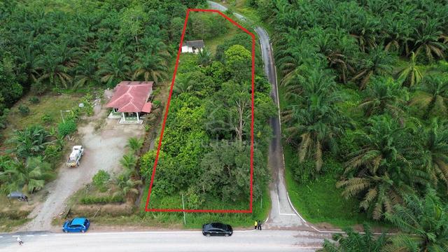 TANAH DUSUN : KG DESA HARAPAN BUKIT BATU KULAI / SEDENAK - 0.6 ekar 2