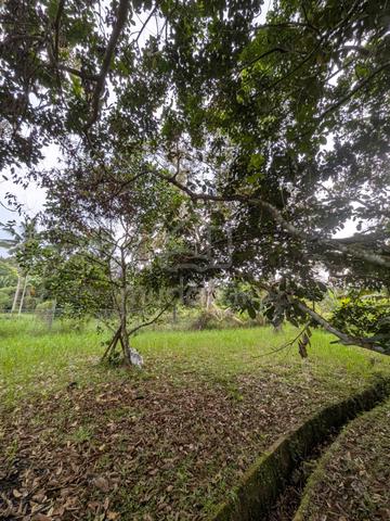 Tanah Dusun Nilai Negeri Sembilan 5