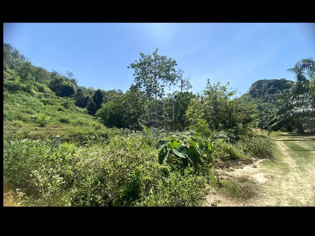 Perak Sungai Siput Agricultural 8.1 Acres Freehold Land For Sale 1