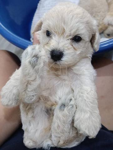 Carousel Image