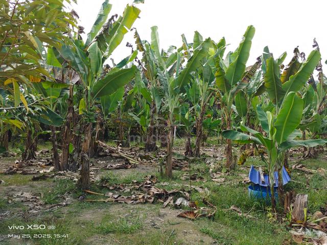 2.2 acre land @ Jalan Rantau to Pedas, Ulu Kanchong, Rantau, N9 3