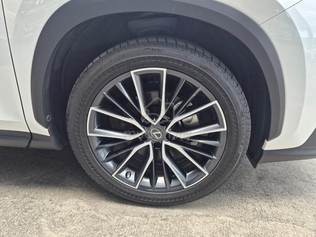 2023 Lexus NX 250 2.5 Version L UNREG NX250 4 CAM - 5