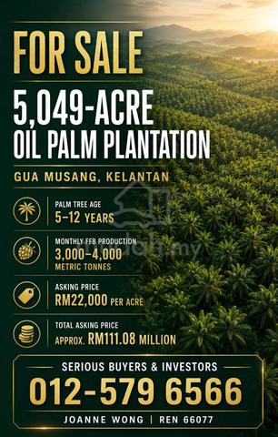 5049 acres Oil Palm Plantation For Sale at Gua Musang, Kelantan 1
