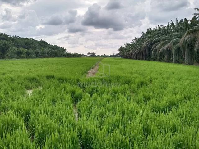 Tanah Pertanian Untuk Dijual 1.922 Hektar 4.749 Ekar Lot13642 1
