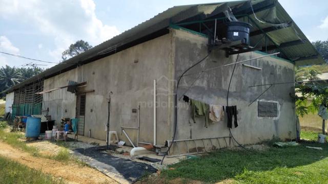 "AGRICULTURAL LAND " at an integrated farm for rent 1