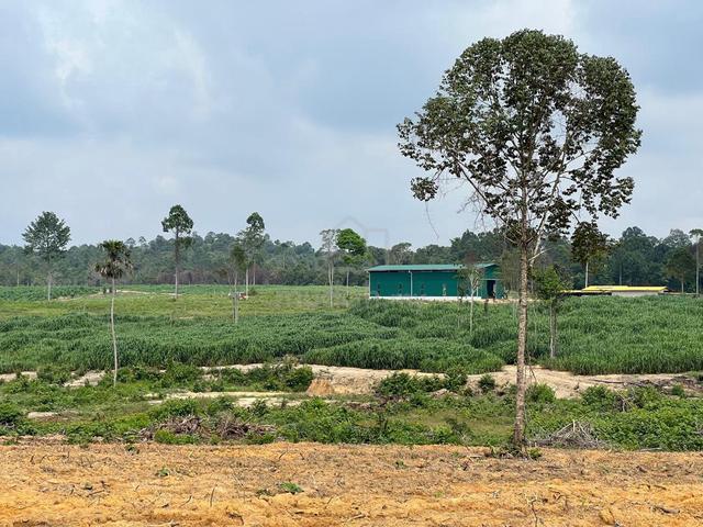 Negeri Sembilan Gemas Agricultural Land For Rent 1