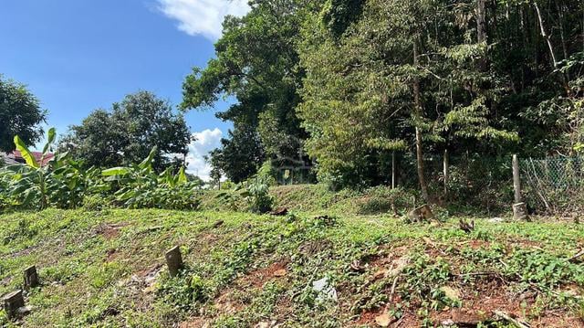 Mount Austin Bangalow Land Dato Onn ponderosa molek desa tebrau Johor 1