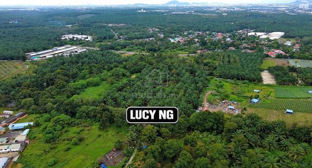 Main Road | Agricultural Land | Developing area | Bukit Teh t 1