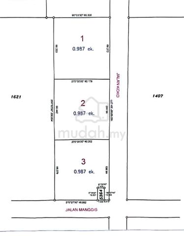 Tanah Pertanian 0.987 ekar Jalan Koko Kg Medan Sijangkang Kuala Langat 2
