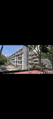 Paya Terubong Jaya 1