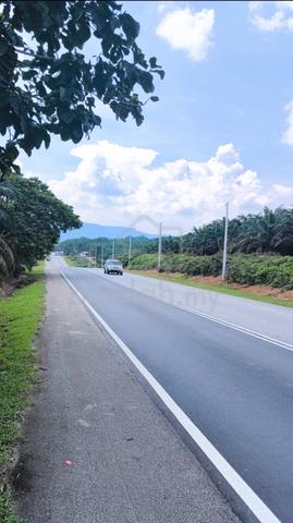 Tanah Pertanian 6 ekar di Felcra Dusun Panti KOTA TINGGI UNTUK DIJUAL 1
