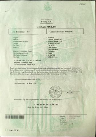KEBUN SAWIT Untuk Dijual DI MANIK URAI LAMA 1