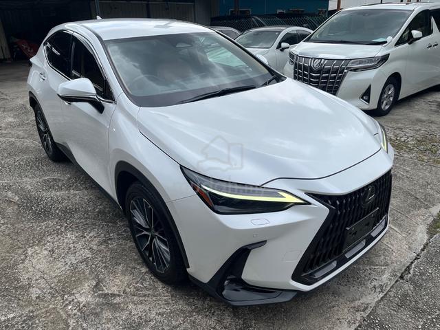 Lexus NX 250 2.5 VERSION L NO ROOF Unreg 2023 - 1
