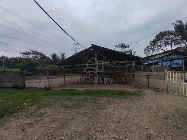 1.1 EKAR TANAH🔥Bungalow & Reban Ternakan Ayam🔥Kg Sri Kendong Rembau 2