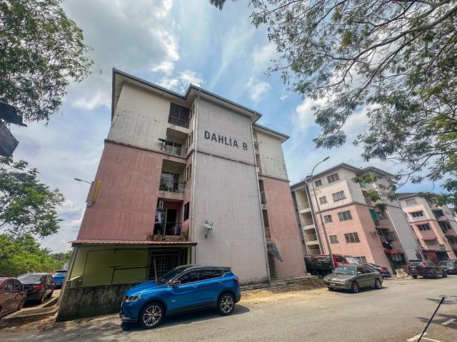 Dahlia (Seremban) 1