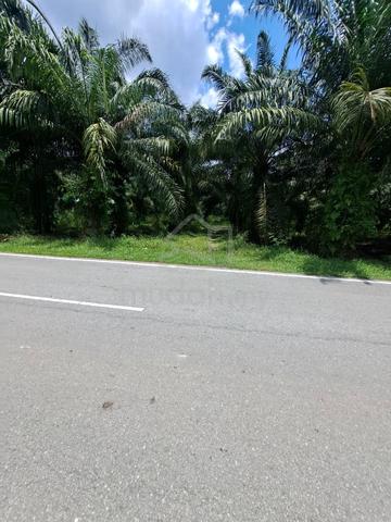 Bukit Perah Land Jenjarom 📌3.0 Acres 📌Beside Jalan Bukit Perah 4