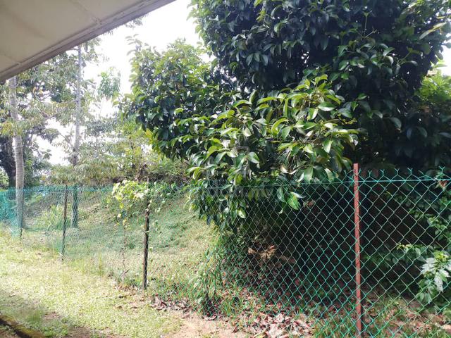 Tanah untuk Dijual kampung Kenanga,Jalan Sekolah 1 1