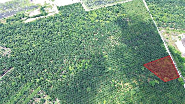 Tanah Agriculture Zoning Industri 2 Ekar 1