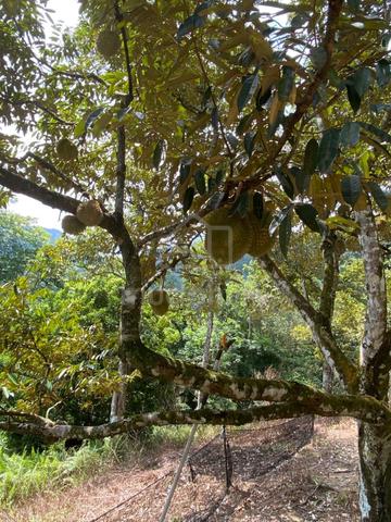 broga semenyih 3.3acre for sale 1