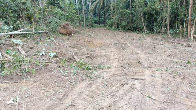 Lot 370 Mukim Taboh Naning Kg Ulu Kemus Afamosa Alor Gajah 4