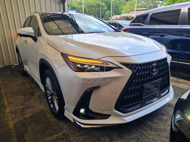 2023 Lexus NX250 2.5 LUXURY MODELISTA KIT GRADE 5 - 2