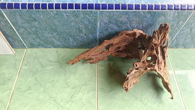driftwood set 2pcs form 30cm-60cm tank - photo 2 of 2