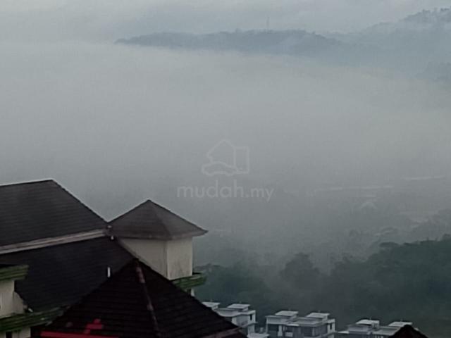 Venice Hill 1