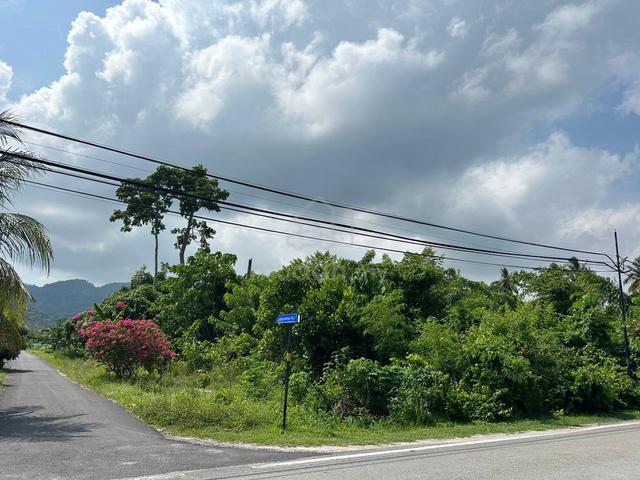 FIRST GRADE A Land 12,066sqft Road Side Corner WORTH BUY BALIK PULAU 1