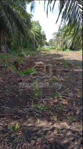 Lot Tanah Kg Seri Melur 1