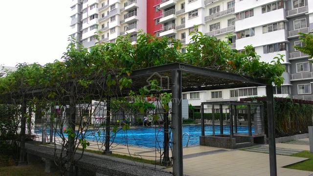 Koi Kinrara 1