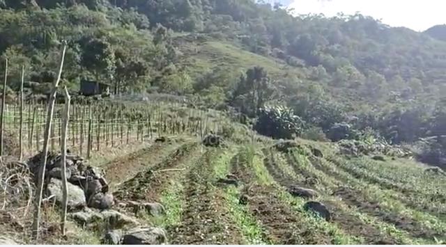 CL Mesilau Kundasang Land for Sale 2
