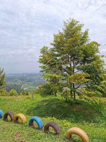 Durian Orchard for SALE – Broga, Semenyih 1