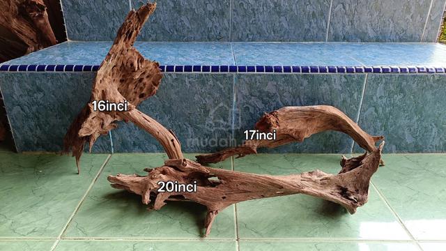 aquascape driftwood setup 3 kayu - photo 2 of 4