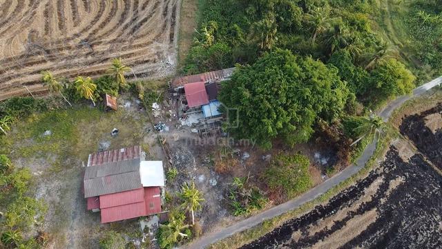 Tanah Kampung Di Jelempok, Arau, Perlis 1