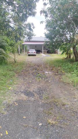 Rumah kampung untuk disewa di Kuala Sungai, Alor Setar, Kedah 1