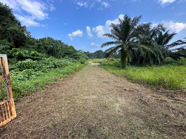 Pasir Semut @ Kemaman 6.93 Acres Bangunan Land Terengganu FREEHOLD 1